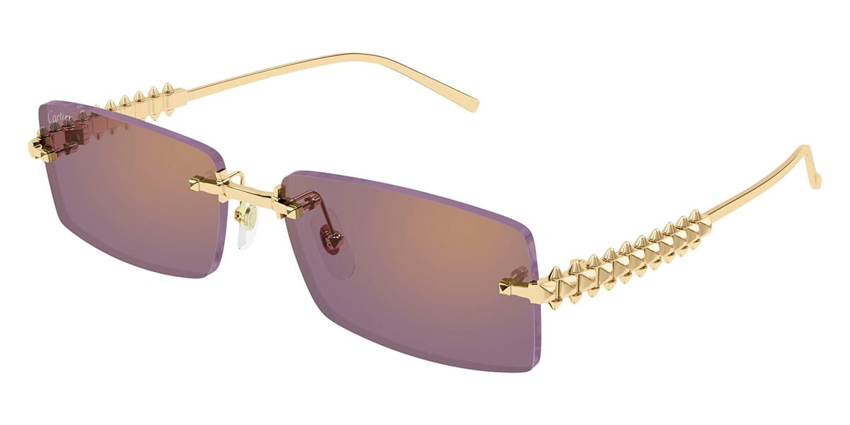 Cartier CT0604S 003