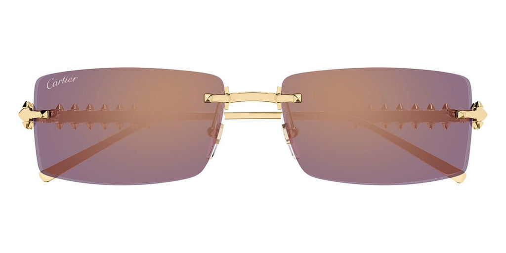 Cartier CT0604S 003