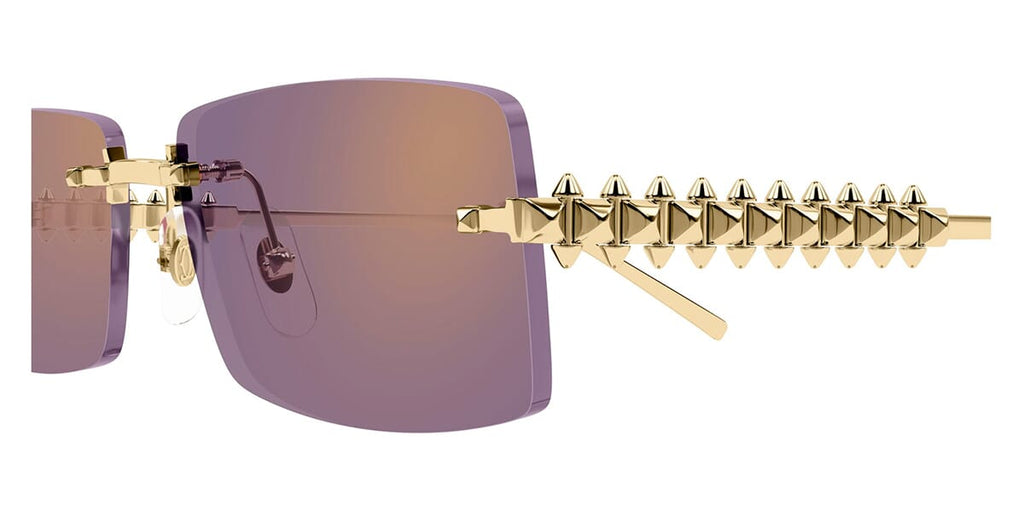 Cartier CT0604S 003