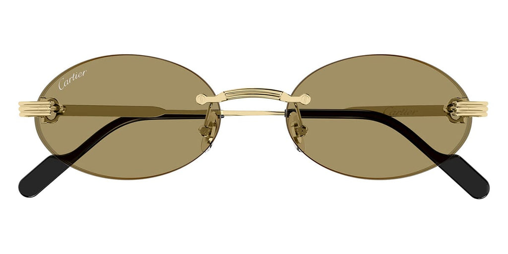 Cartier CT0615S 007
