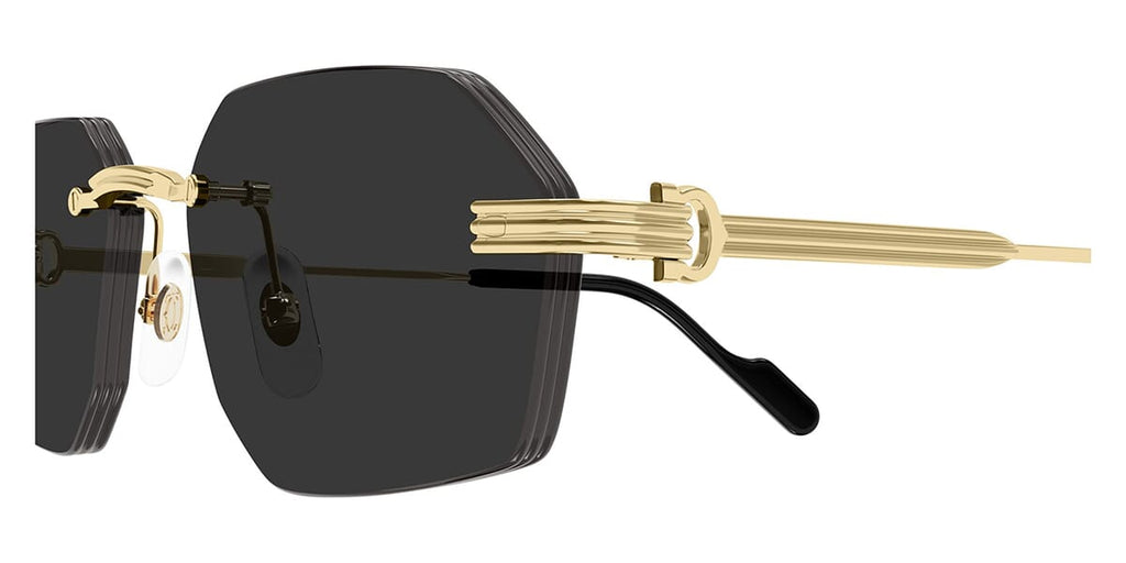 Cartier CT0616S 001