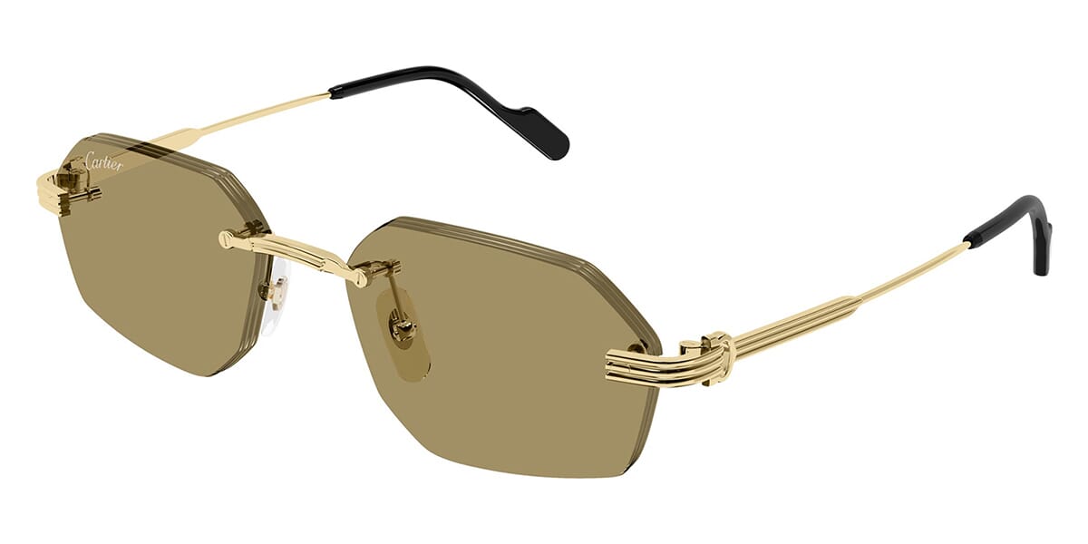 Cartier CT0616S 002