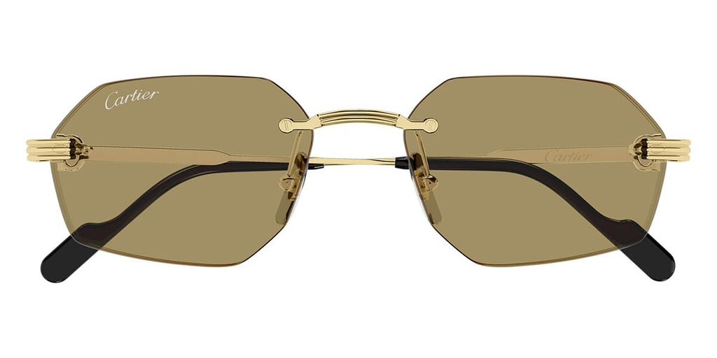 Cartier CT0616S 002
