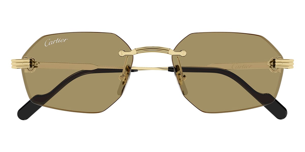 Cartier CT0616S 002
