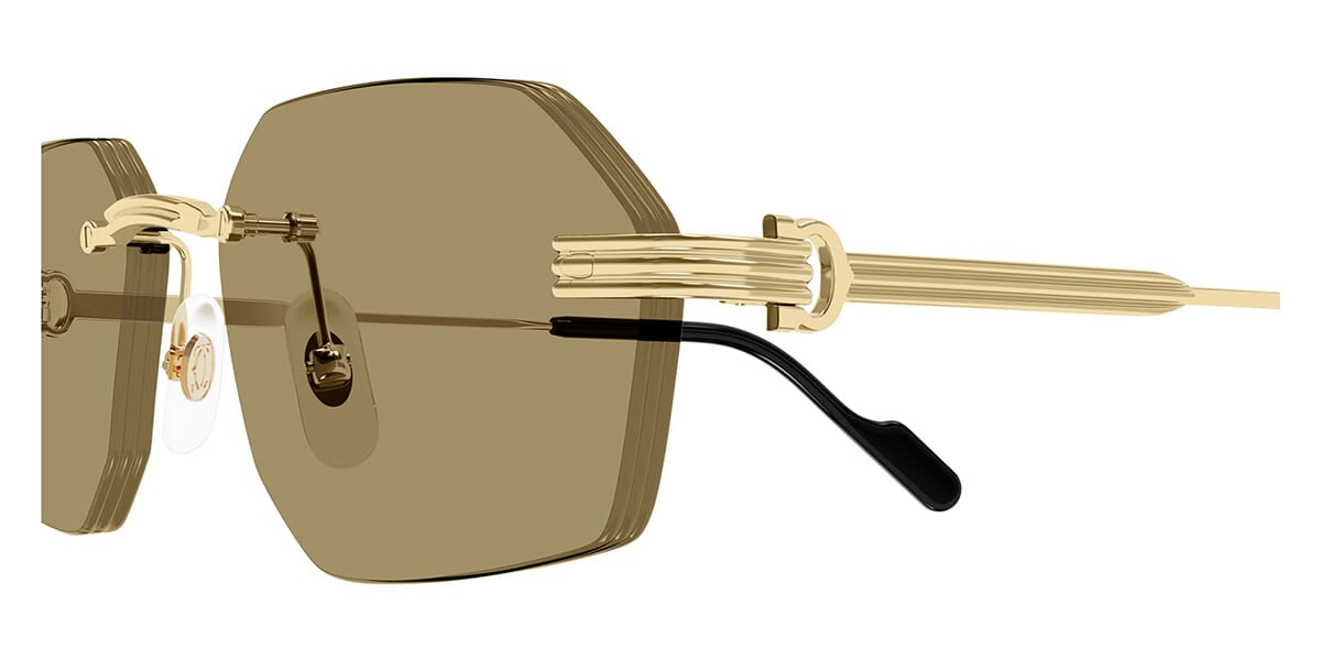 Cartier CT0616S 002