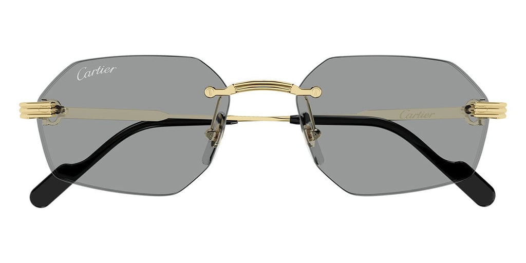 Cartier CT0616S 004