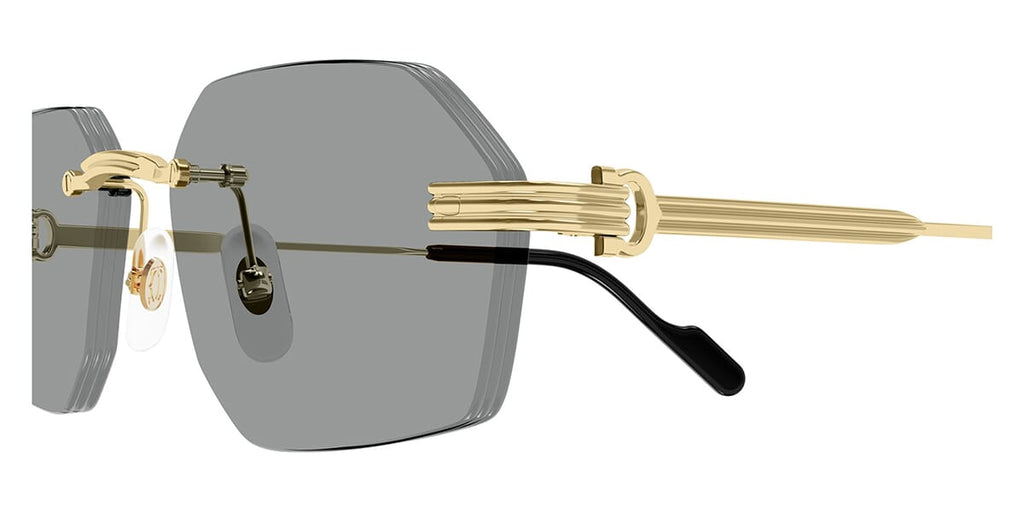 Cartier CT0616S 004