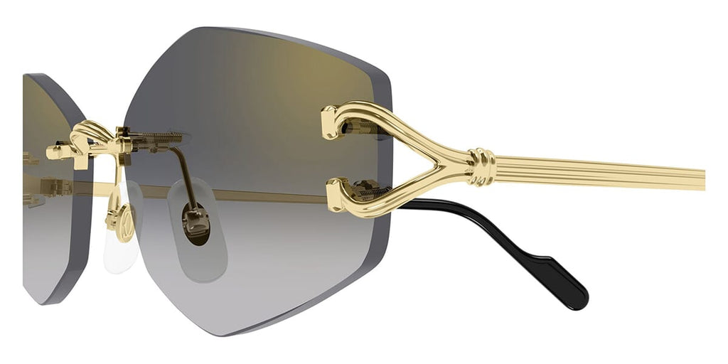 Cartier CT0620S 001