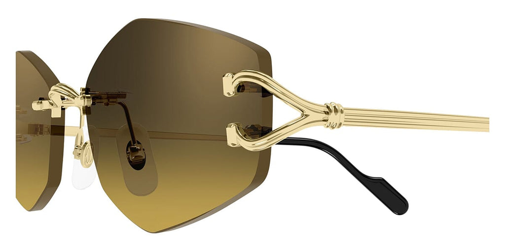 Cartier CT0620S 003