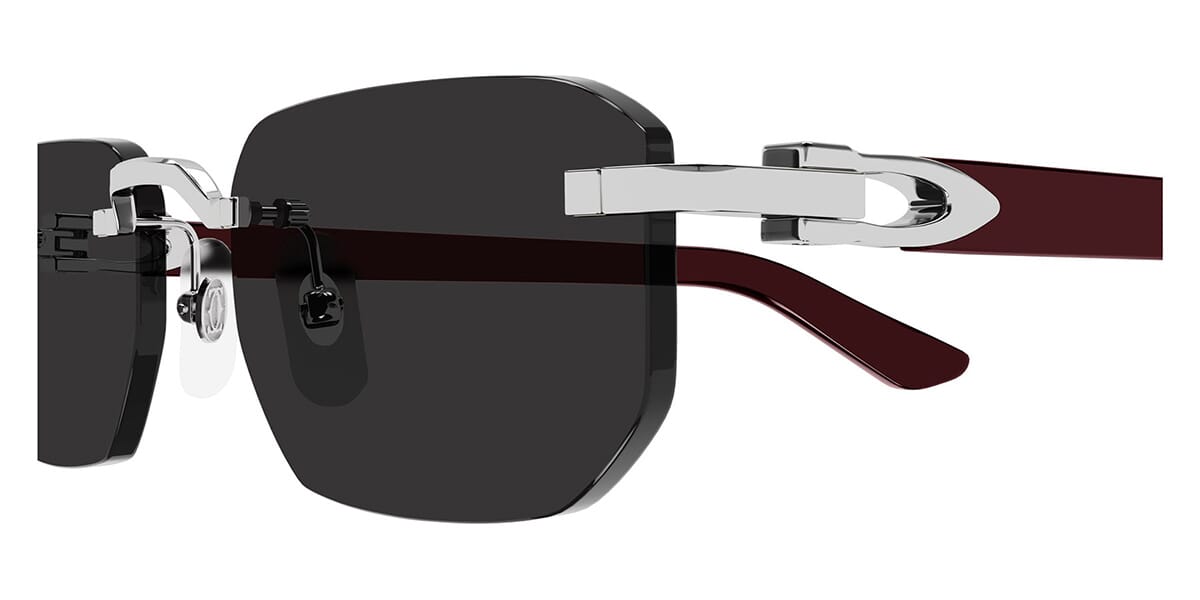 Cartier CT0622S 002